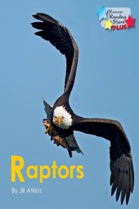 Raptors