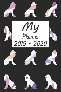 My Planner 2019 - 2020