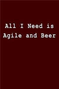 All I Need Is Agile and Beer
