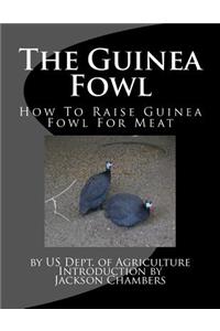 Guinea Fowl
