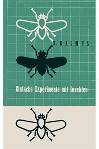 Einfache Experimente Mit Insekten