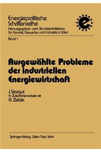 Ausgewählte Probleme der industriellen Energiewirtschaft