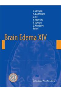 Brain Edema XIV