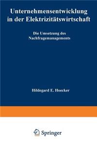 Unternehmensentwicklung in Der Elektrizitätswirtschaft