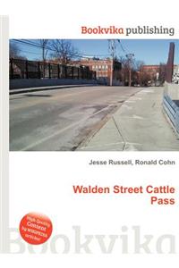 Walden Street Cattle Pass