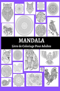 Mandala Livre de Coloriage Pour Adultes