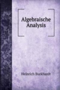 Algebraische Analysis