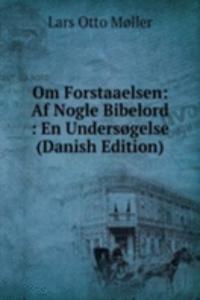 Om Forstaaelsen: Af Nogle Bibelord : En Undersogelse (Danish Edition)