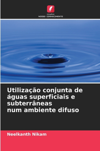 Utilização conjunta de águas superficiais e subterrâneas num ambiente difuso