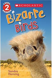 Bizarre Birds (Scholastic Reader, Level 2)