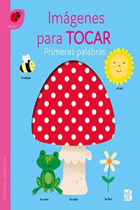 PRIMERAS PALABRAS - IMAGENES PARA TOCAR