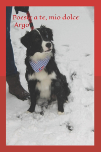 Poesie a te, mio dolce border collie Argo