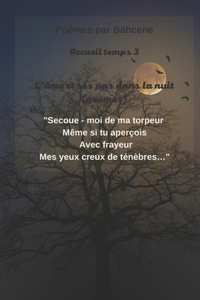 L'âme et ses pas dans la nuit.