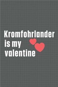 Kromfohrlander is my valentine