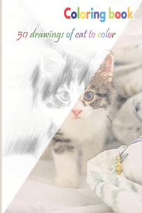 Coloring book 50 drawings of cat to color