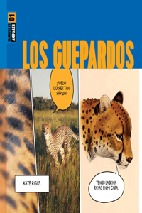 Guepardos