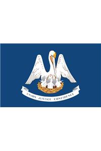 Louisiana Flag Magnet