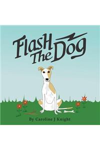 Flash the Dog