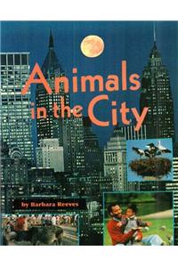 Comprehension Power Readers Animals in the City Grade Four 2004c