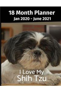 Jan 2020 - June 2021 18 Month Planner