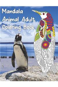Mandala Animal Adult Coloring Book