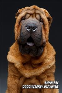 Shar Pei 2020 Weekly Planner