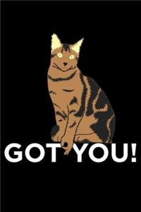 Got You