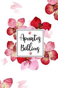 Apuntes Biblicos