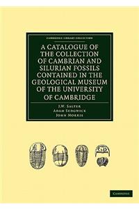 Catalogue of the Collection of Cambrian and Silurian Fossils Contained in the Geological Museum of the University of Cambridge