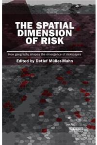 The Spatial Dimension of Risk