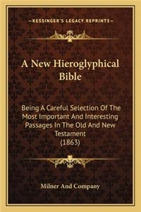 A New Hieroglyphical Bible