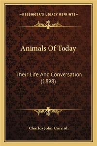 Animals Of Today