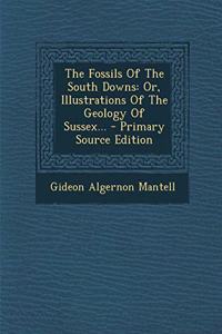 The Fossils of the South Downs