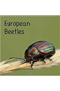 European Beetles 2017