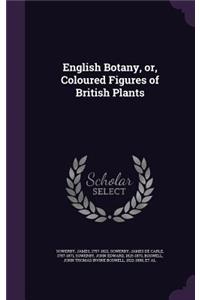 English Botany, or, Coloured Figures of British Plants