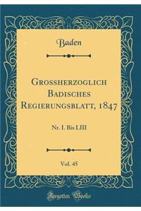 Groï¿½herzoglich Badisches Regierungsblatt, 1847, Vol. 45: Nr. I. Bis LIII (Classic Reprint)