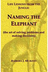 Life Lessons from the Jungle