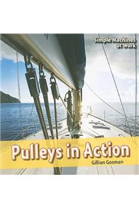 Pulleys in Action