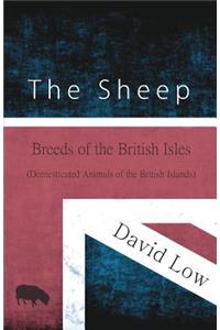 Sheep - Breeds of the British Isles (Domesticated Animals of the British Islands)