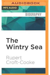 Wintry Sea