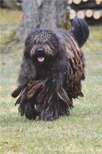 The Bergamasco Dog Journal