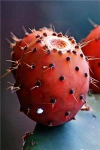 Prickly Pear Cactus Fruit Journal