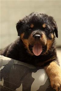 Friendly Little Rottweiler Puppy Dog Pet Journal