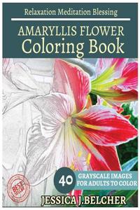 Amaryllis Flower Coloring Book for Adults Relaxation Meditation Blessing