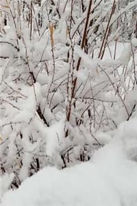 Winter Journal Forest Snowstorm