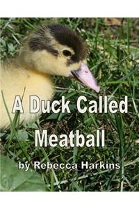 A Duck Called Meatball