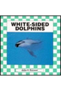 White-Sided Dolphins