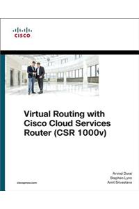 Virtual Routing in the Cloud