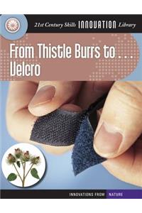 From Thistle Burrs To... Velcro