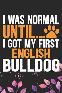 I Was Normal Until I Got My First English Bulldog